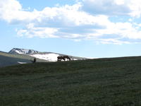 IMG_2121.JPG