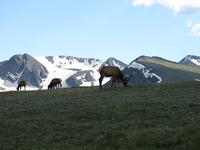 IMG_2123.JPG