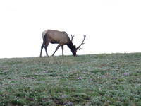 IMG_2125.JPG