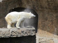 IMG_2139.JPG