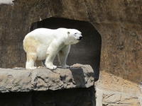 IMG_2140.JPG