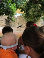 IMG_2152.JPG