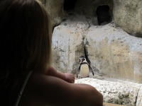 IMG_2162.JPG
