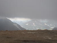 IMG_2305.JPG