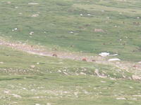 IMG_2311.JPG