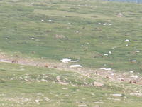 IMG_2312.JPG