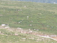 IMG_2313.JPG