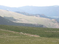 IMG_2314.JPG