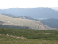 IMG_2315.JPG