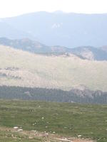 IMG_2316.JPG