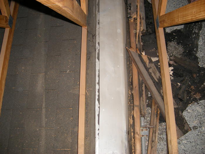 DSCF0375.JPG
