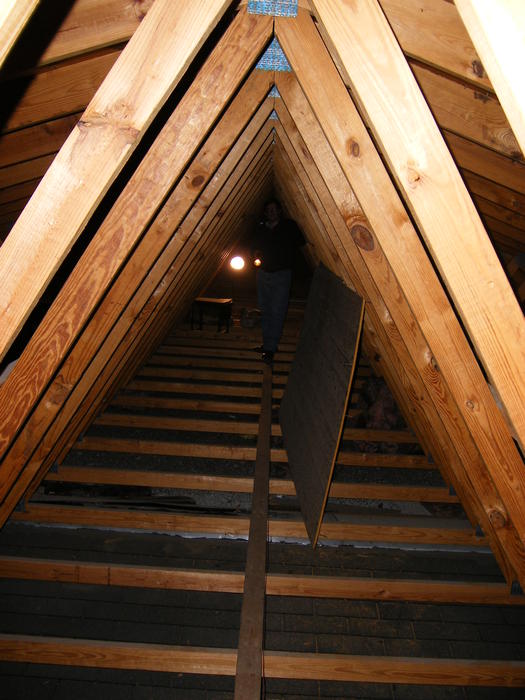 DSCF0377.JPG