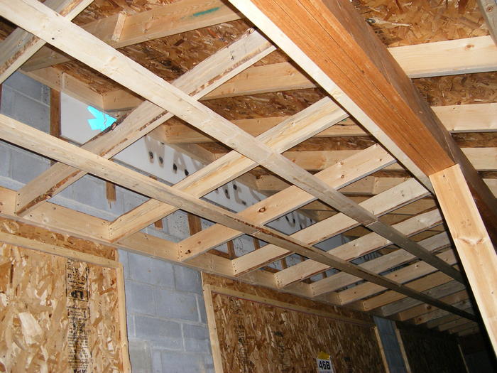 DSCF0486.JPG