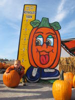 Cameron choosing his pumpkin
