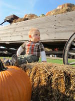 IMG_2569.JPG