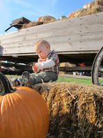 IMG_2574.JPG