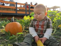 IMG_2672.JPG