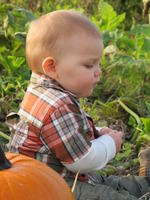 IMG_2675.JPG