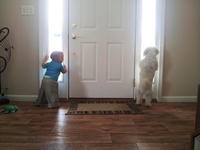 2011-10-21 10_00_35 - contrast.jpg