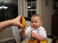 IMG_2862.JPG
