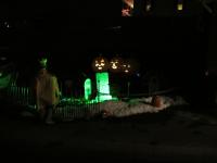 IMG_2882.JPG