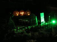IMG_2890.JPG