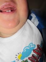 IMG_3029.JPG