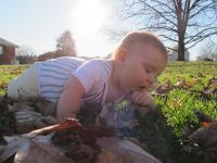 IMG_3172.JPG