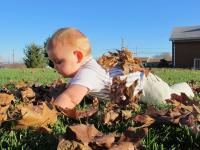 IMG_3178.JPG