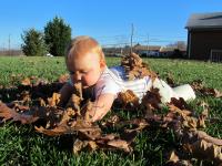 IMG_3179.JPG