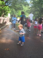 IMG_0454.JPG