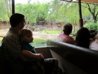 IMG_1202.JPG