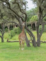 IMG_1224.JPG