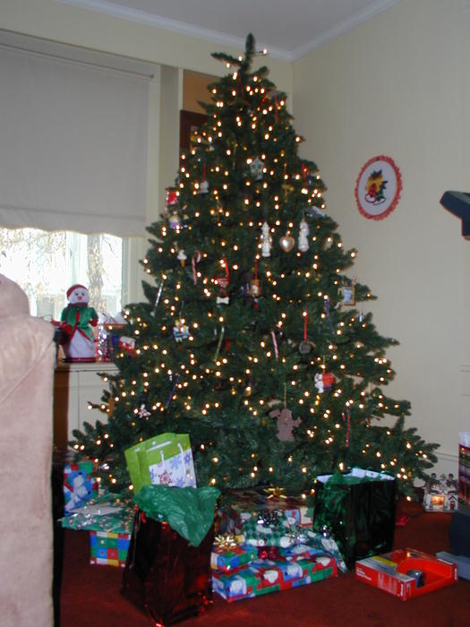 PC250005.JPG