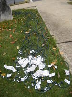 About half of our extension cords...