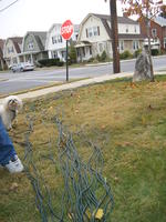 Bentley overseeing the work.