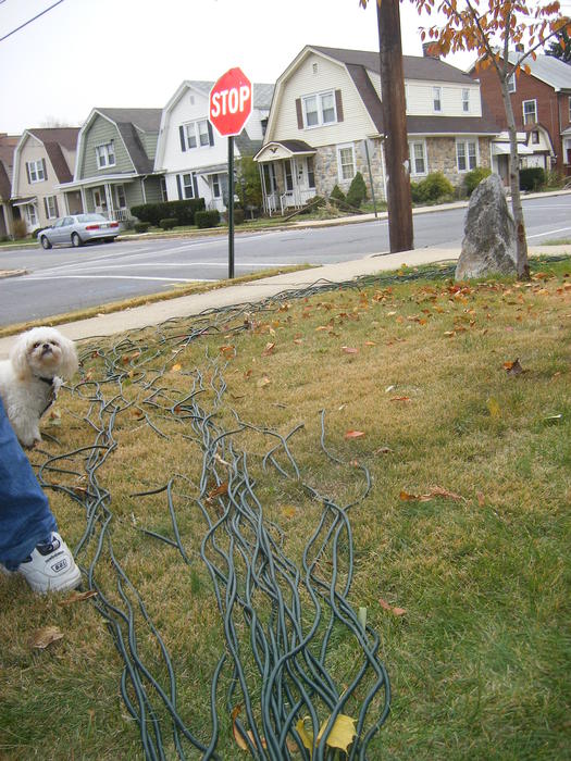 Bentley overseeing the work.