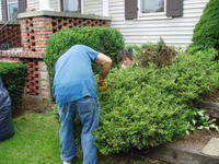 Heather's Mom & Dad working on the yard