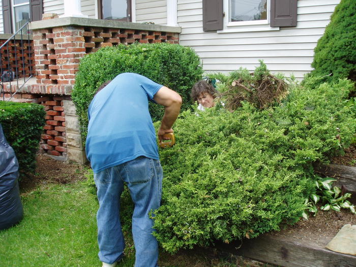 Heather's Mom & Dad working on the yard
