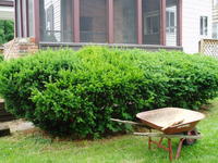 In need of some landscaping