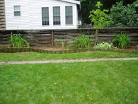 More weeding complete