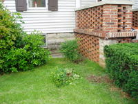Some bushes about to get removed
