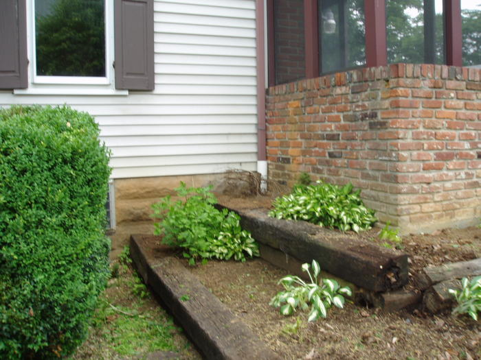 After the bush removal