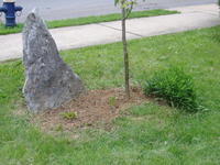 The corner stone