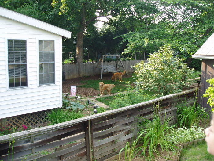 Our neighbors!