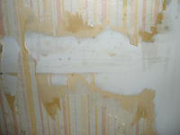 We find drywall under the last layer of wallpaper