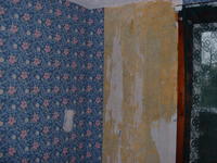 DSCF0027.jpg
