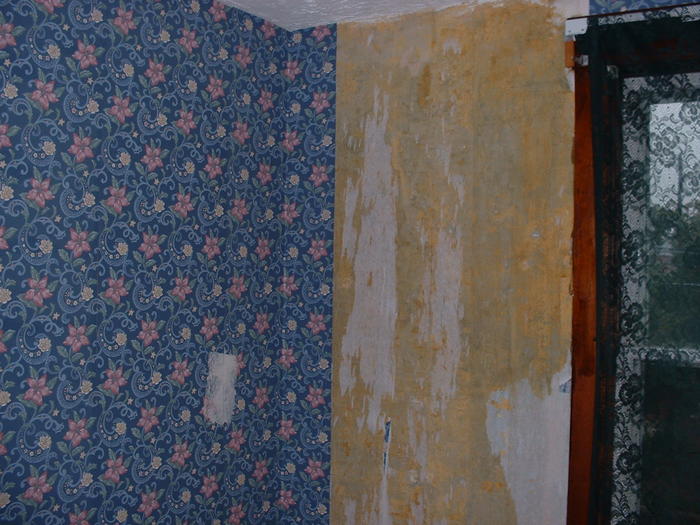 DSCF0027.jpg