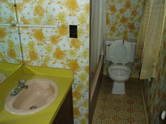 BEFORE: Master Bathroom
