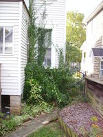 BEFORE: Kitchen Window
